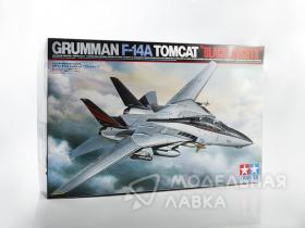 Американский истребитель Grumman F-14A Tomcat Black Knights