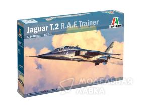 AUTO T.2 R.A.F. TRAINER