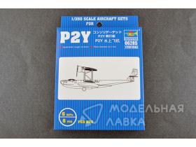 Consolidated P2Y