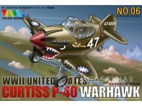 Curtiss P-40 Warhawk Fighter