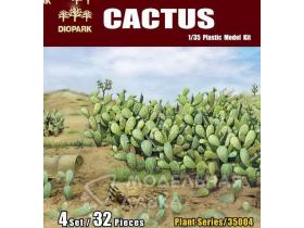 Цветы CACTUS