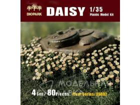 Цветы Daisy