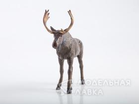 Дикие животные России № 11: Лось (только вложение)