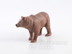 Дикие животные России № 4: Бурый медведь (только вложение)