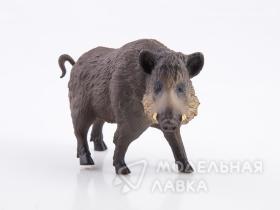 Дикие животные России № 5: Кабан (только вложение)