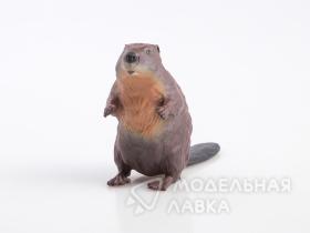 Дикие животные России № 8: Бобр (только вложение)