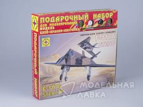 F-117 Stealth "Самолет-невидимка" с клеем, кисточкой и красками.