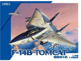 F-14B Tomcat