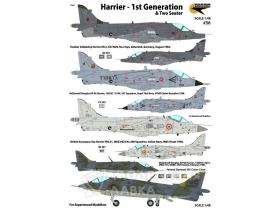 Harrier - 1st Generations & Two Seater (UK, Thailand, India, USA, Spain - 6 Markings)