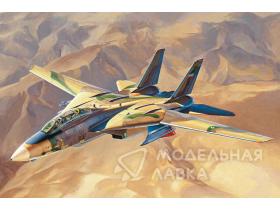 IRIAF Persian Cat F-14A Tomcat