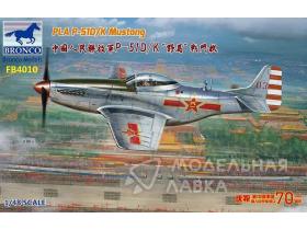 Истребитель Китайских ВВС P-51D/K Mustang 1949 Parade