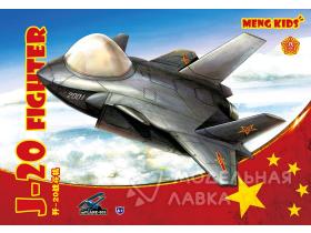 J-20 Fighter