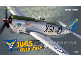 Jugs over Italy P-47D