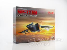 MiG 25 BM Soviet Strike Aircraft