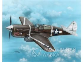 P-40F Warhawk "Guadalcanal Hawks"