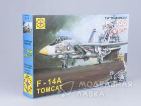 Палубный самолет F-14A Tomcat