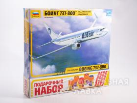 Пассажирский авиалайнер Боинг 737-800 с клеем, кисточкой и красками