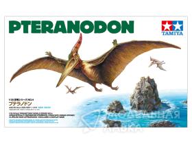 Pteranodon