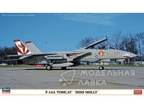 Самолет F-14A TOMCAT "MISS MOLLY"