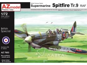 Spitfire Tr.9 RAF