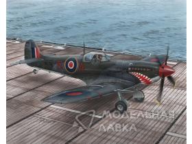 Supermarine Seafire Mk.II "Torch & Avalanche"