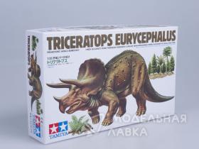 Triceratops