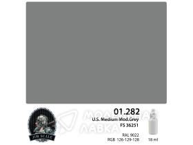 U.S. Medium Mod.Grey FS 36251