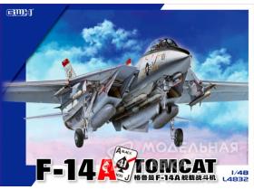 US Navy F-14A TOMCAT