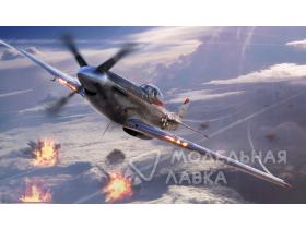 War Thunder - P-47N & P-51D